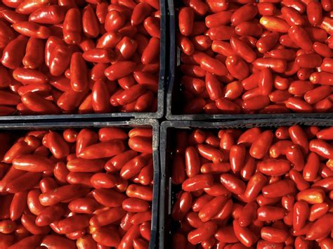 fake san marzano tomatoes